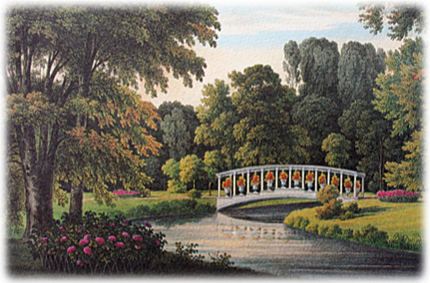 Fuchsienbrücke